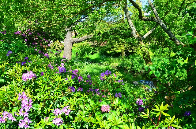 18 05 14_4637_edited-1.jpg